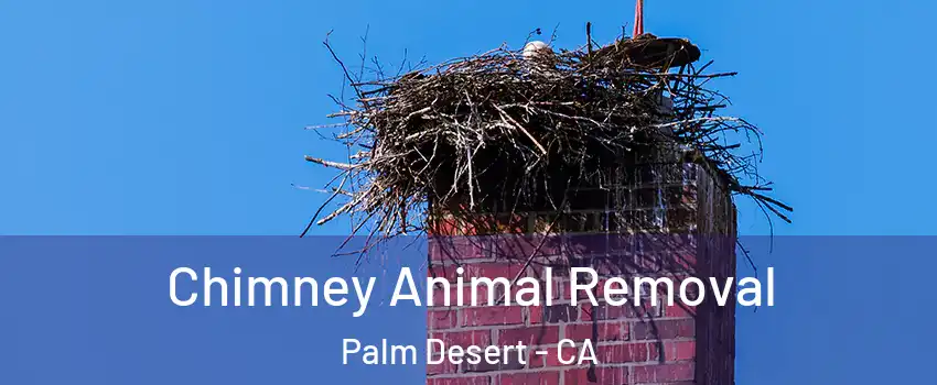  Chimney Animal Removal Palm Desert - CA