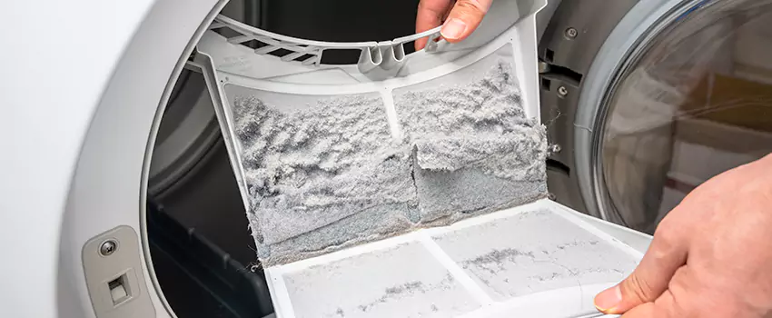 Best Dryer Lint Removal Company in Palm Desert, California