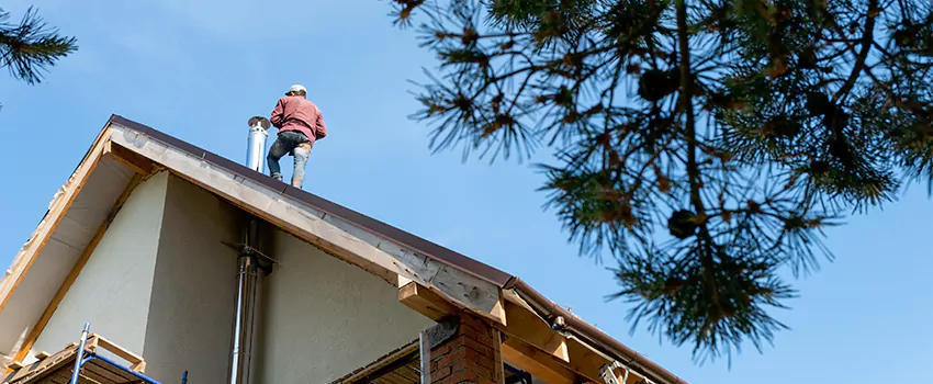 Birds Removal Contractors from Chimney in Palm Desert, CA